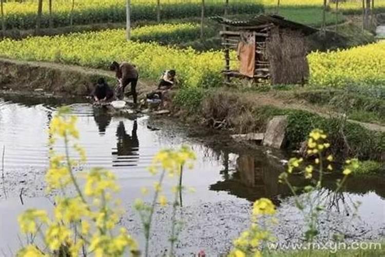 梦见马掉水里死了什么预兆