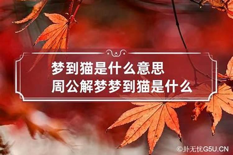 梦见很多人死去是什么意思周公解梦