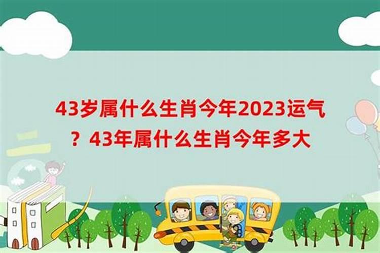 43岁运气怎么样