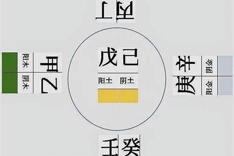 八字有壬戌和癸亥吗