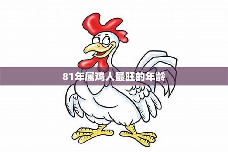 81年属鸡好多岁