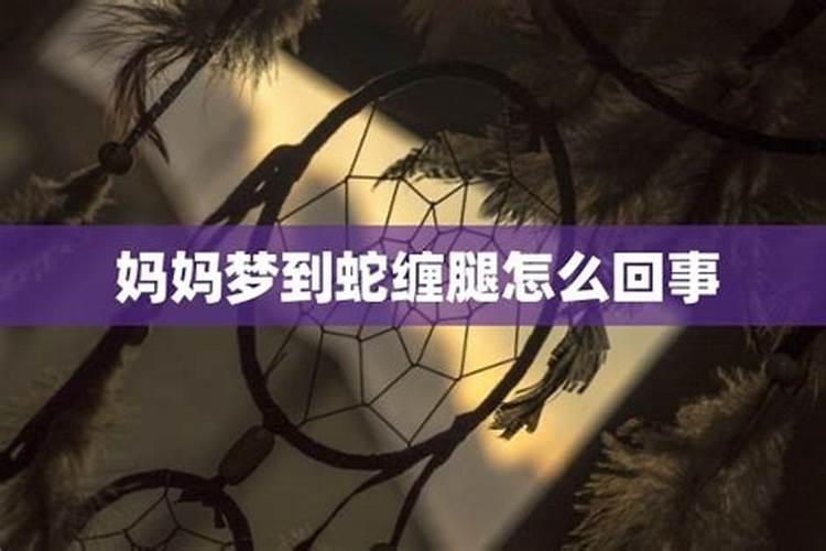 梦见被蛇缠着腿然后被咬一口