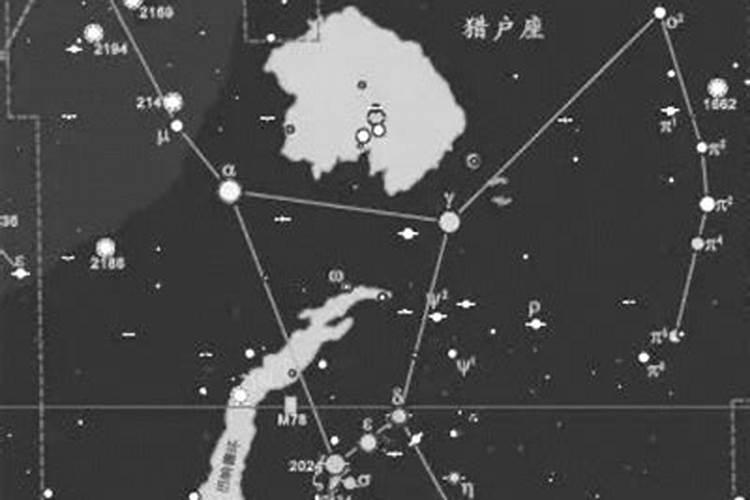 猎户星座属于什么星座