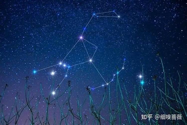 猎户星座属于什么星座