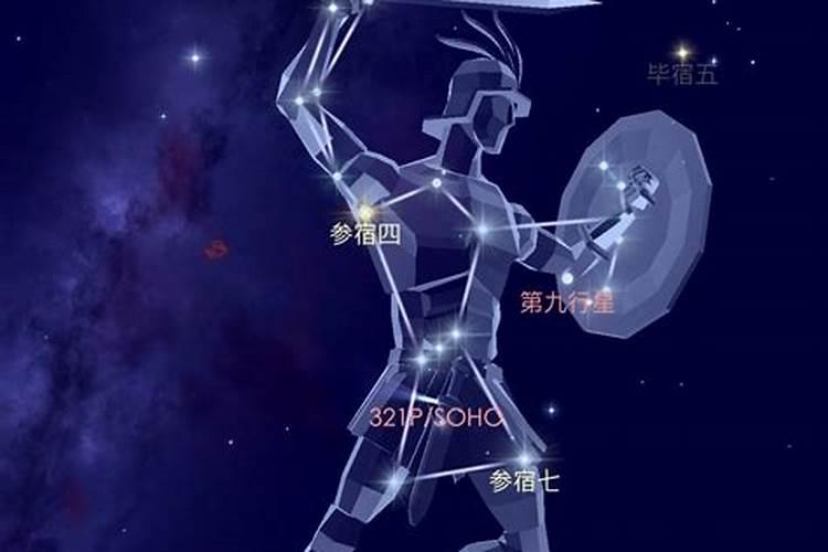 猎户星座属于什么星座