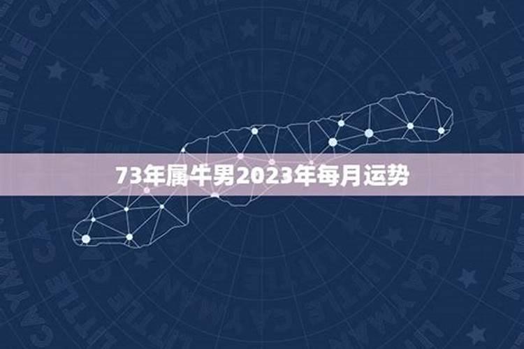 73年的属牛男在2023年的运势