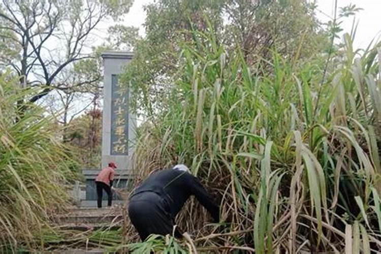 梦见杂草被别人清除干净