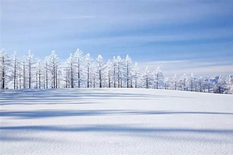 梦见雪盖满大地什么意思啊