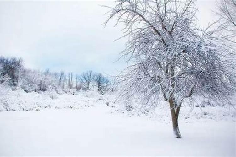 梦见雪盖满大地什么意思啊