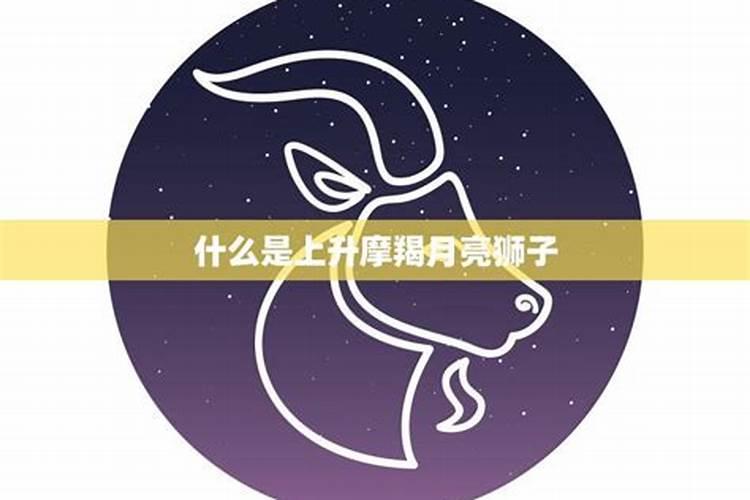 狮子上升摩羯性格特点