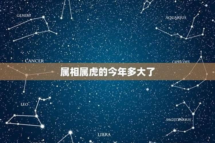 属虎年龄查询表对照表对应岁数多大第一星座网