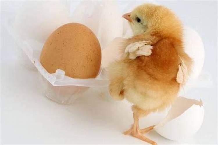 梦见吃鸡蛋是什么意思,而且还有个小孩