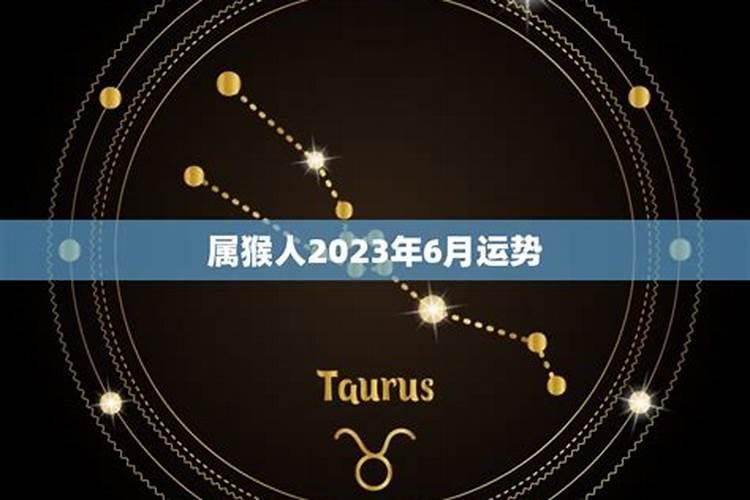 猴六月运势2021