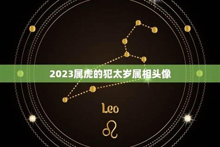 虎男2023年本命年好不好呀