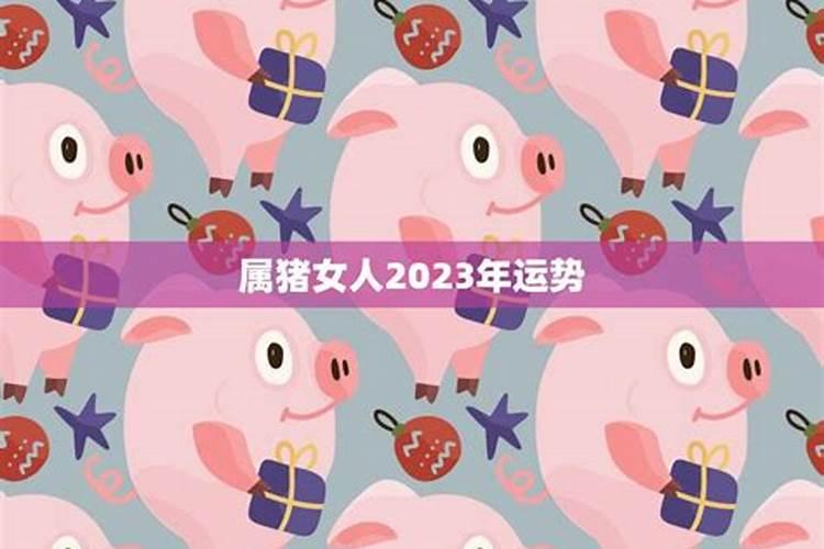 属猪女在2023年运势如何看