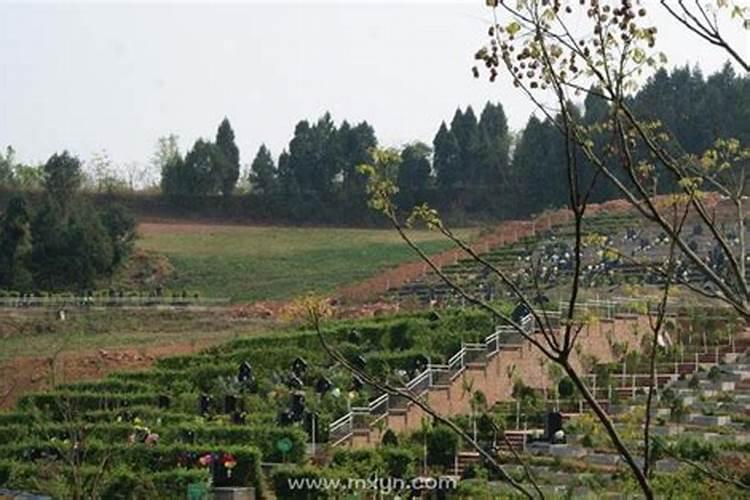 梦见下暴雨把房子淹没了啥意思