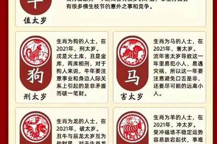 羊属相生肖运程2023年运势大全男