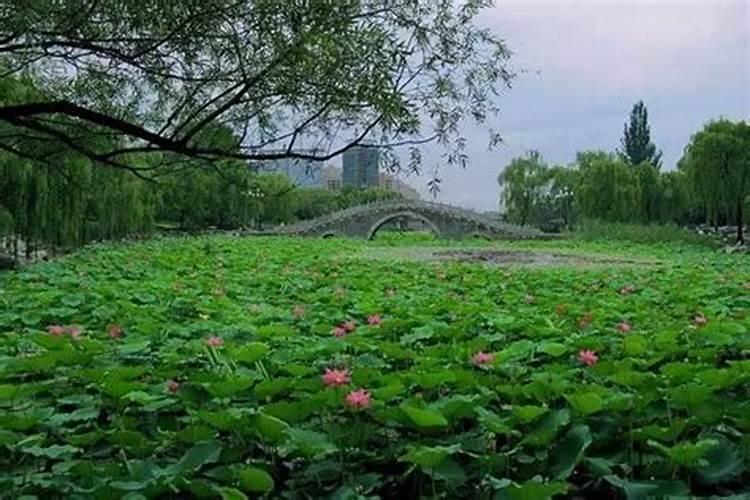 莱芜市有风水大师吗