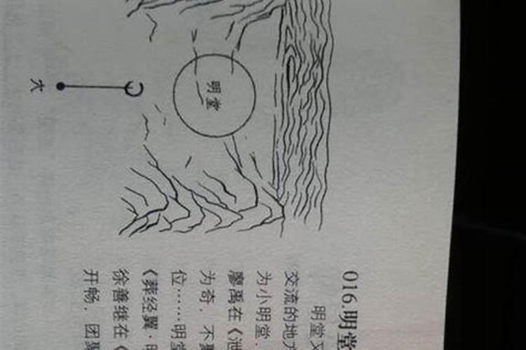 楼层13楼风水好吗