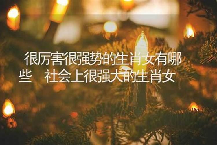 打架很厉害的生肖