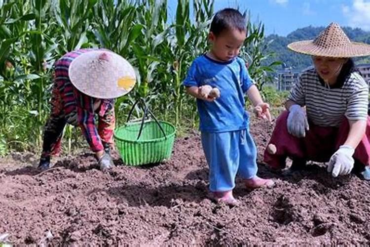 梦见跟家人一起干农活什么意思