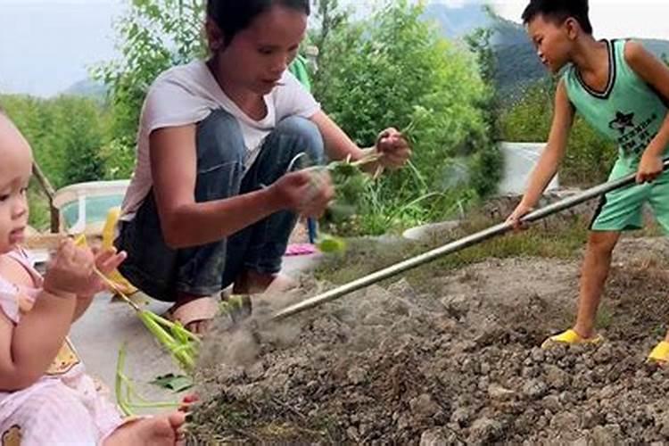 梦见跟家人一起干农活好不好