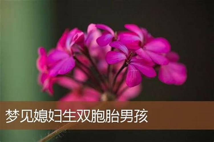 梦见妻子怀孕双胞胎