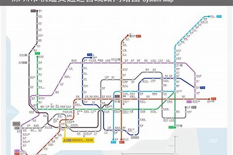 2024年属龙1月运势如何