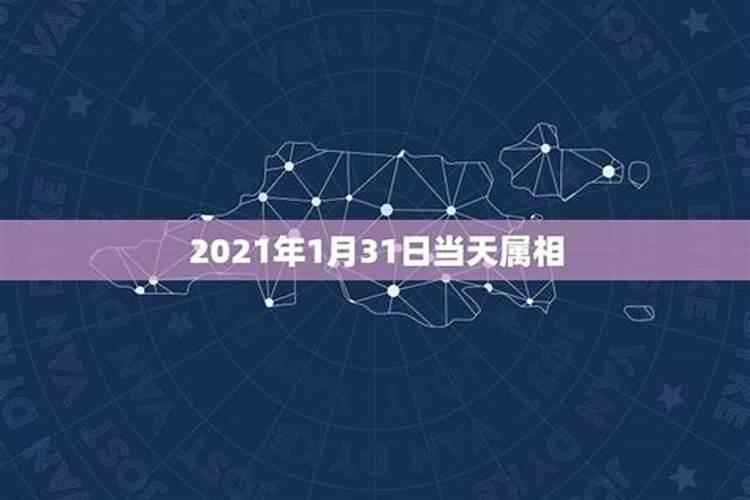 2023年5月31日当天属相