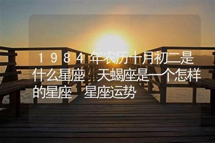 1984年出生的星座是什么