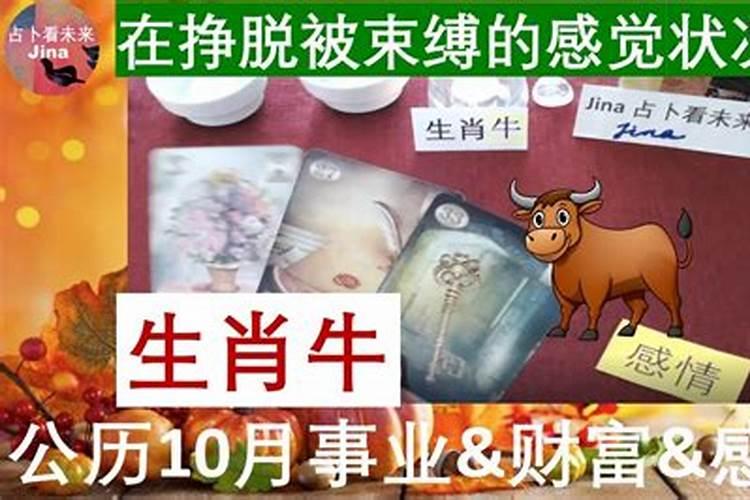 属牛阳历8月份财运