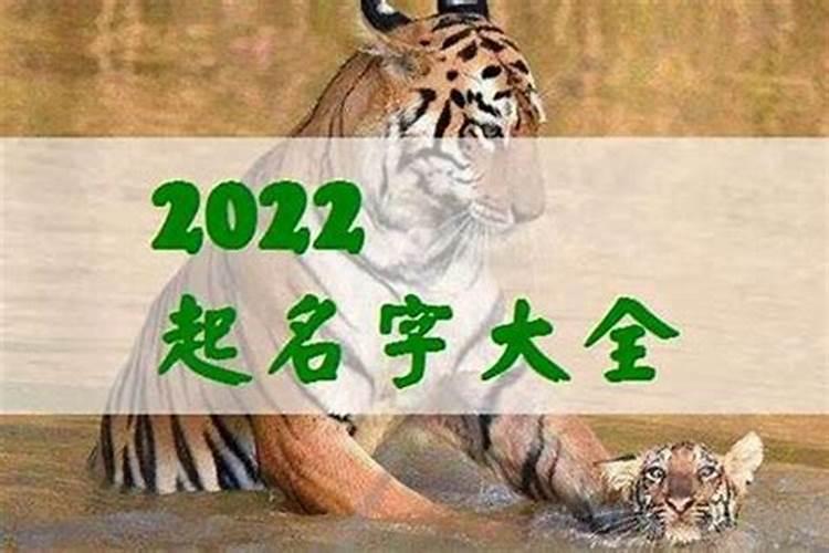 属虎的2023年的运势运程怎么样女