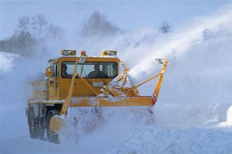 梦见好多人在学校扫雪