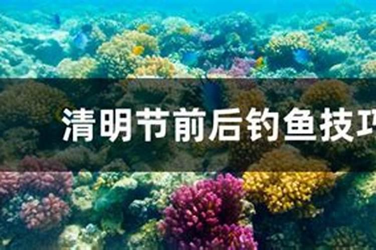 2021年会得到桃花运的星座是什么