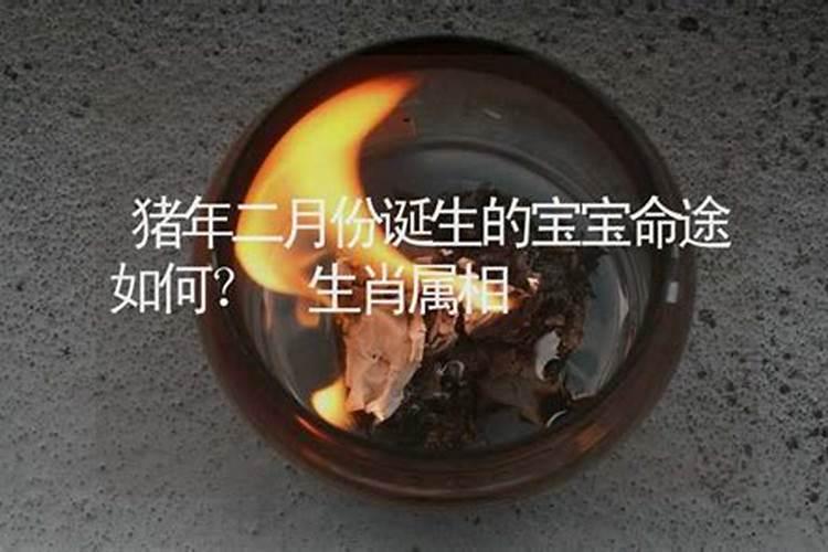 孩子生肖怎么算