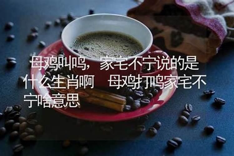 清晨打鸣是什么运势