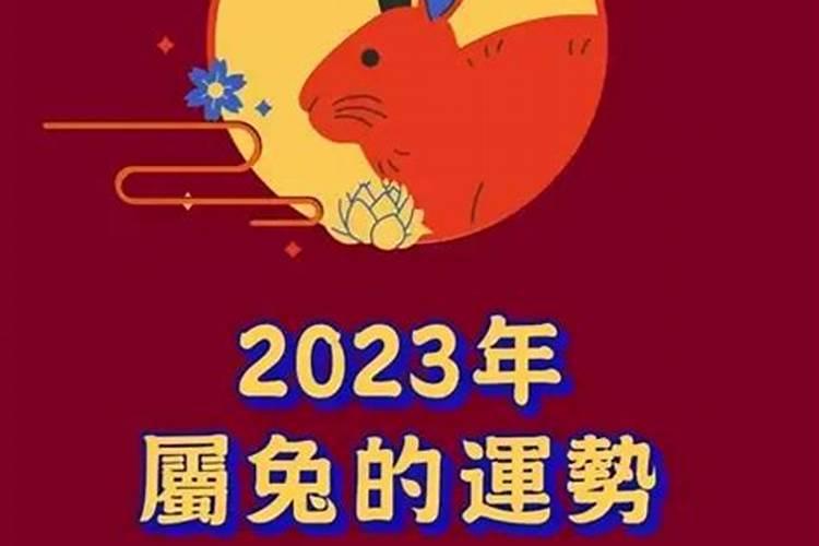 2023年属兔犯太岁注意什么