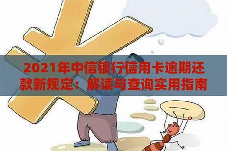 本命年兔适合戴什么