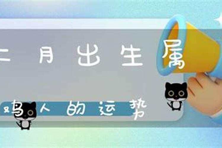 梦见柿子是什么意思,好不好,代表什么