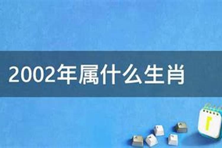 2002年属什么命五行属什么