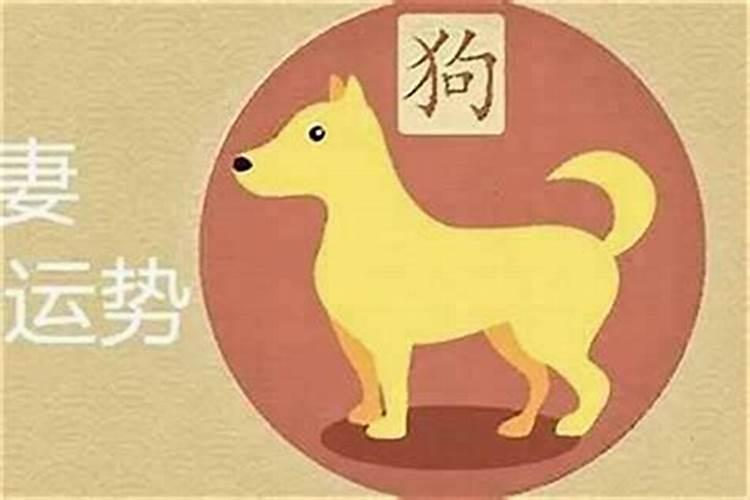 狗和什么生肖合财最好