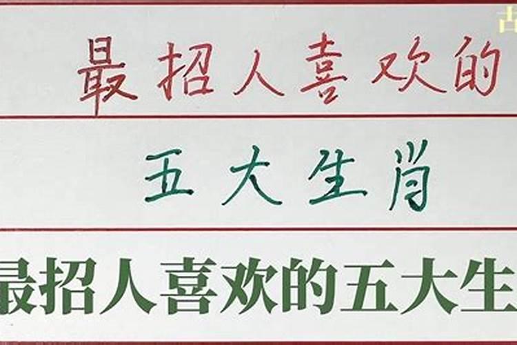 属什么的最招人喜欢