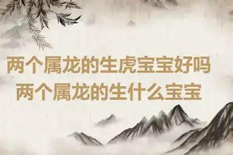 两个属龙的人生什么属相的宝宝好