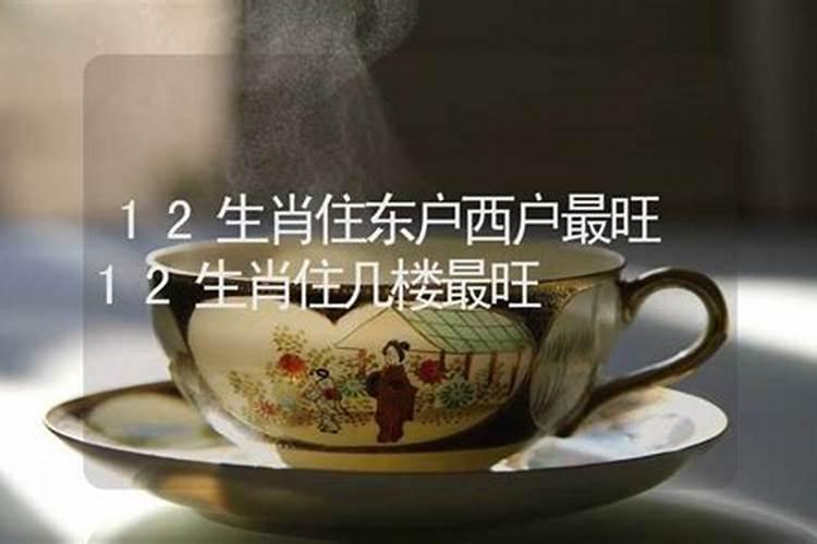 属鸡的人住几层楼最好吉利