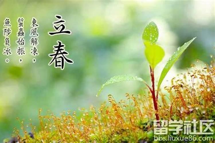 立春节气特点及风俗有哪些