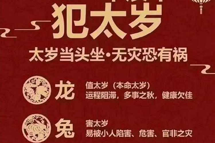 梦见表姐怀孕了什么意思周公解梦