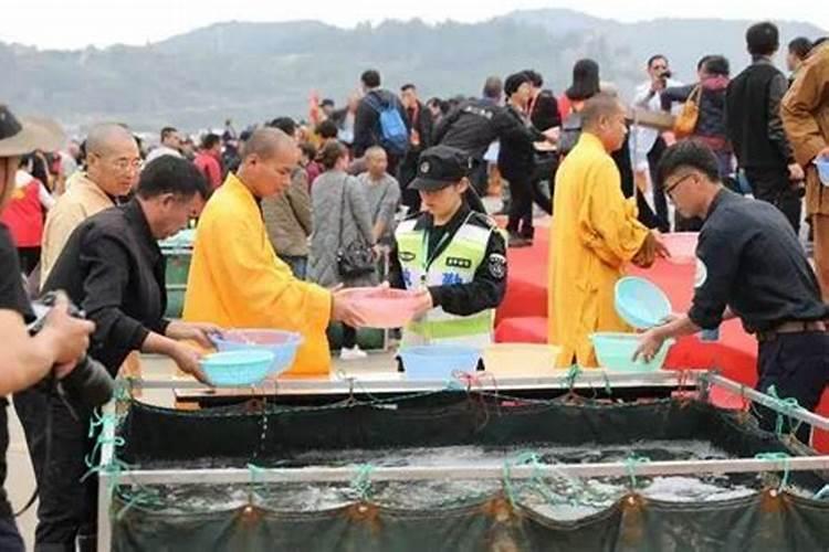 财神节上供可以放生油菜吗