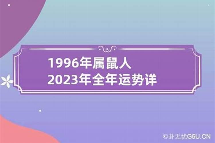 1996年的鼠在2023年的运势