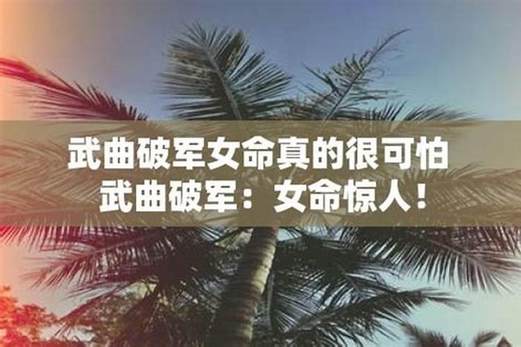 潮汕清明冬至扫墓风俗