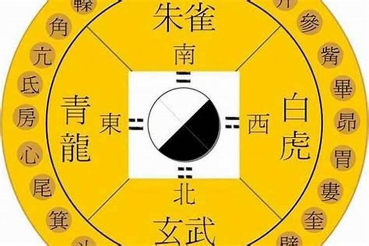 八字五行可以调理吗